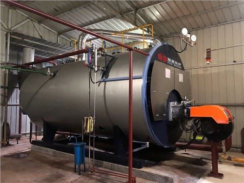 Wns Industrial Siv Lpg Raug Rho Tawm Haujlwm Chav Boiler